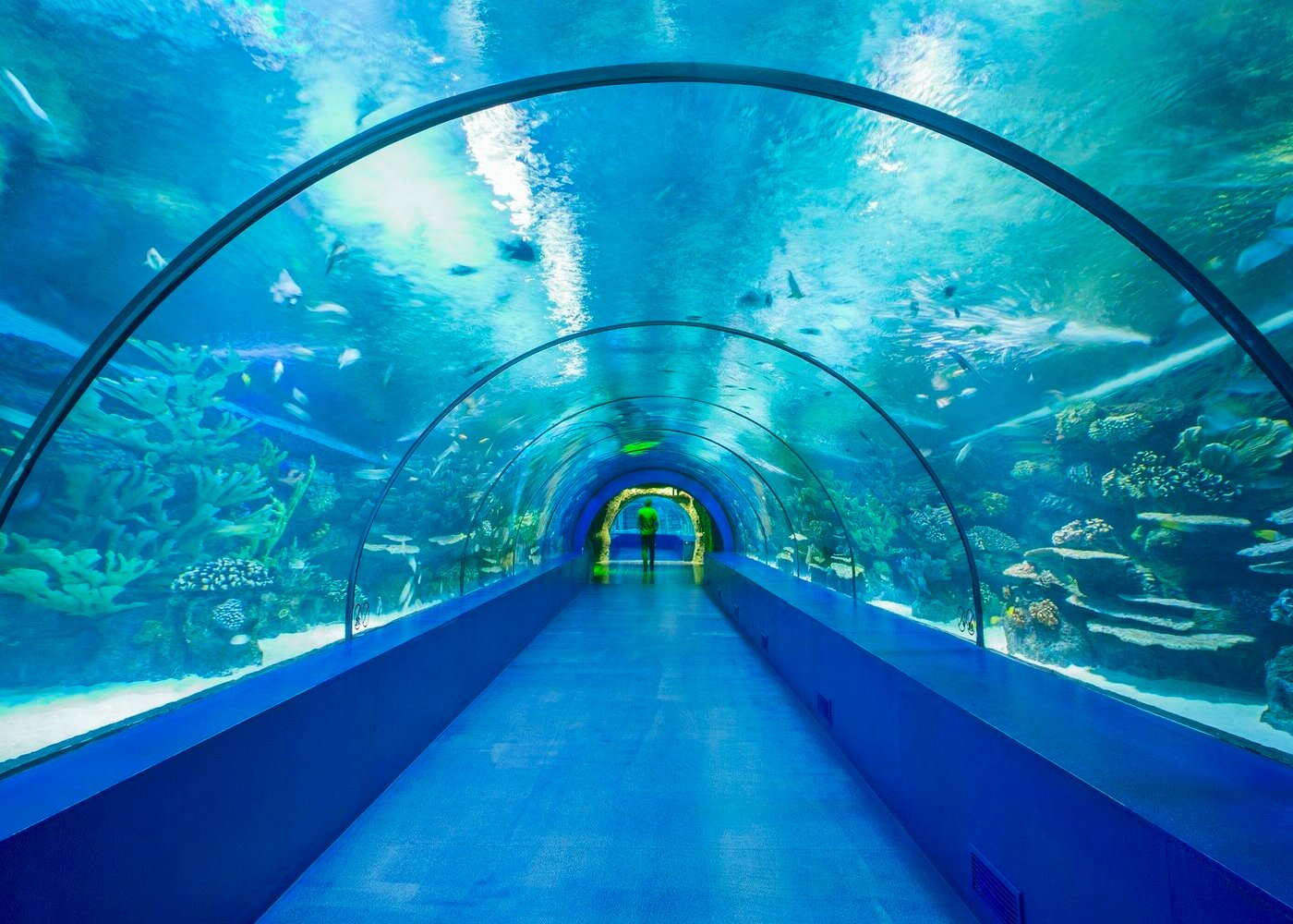 Antalya Aquarium’da hayatınızın en farklı yolculuğuna çıkacaksınız